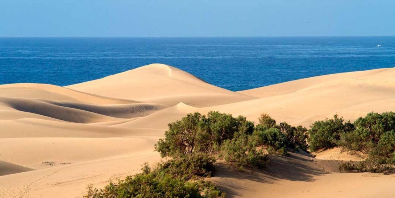 Moderno Triplex Sonneland Apartman Maspalomas  Kültér fotó
